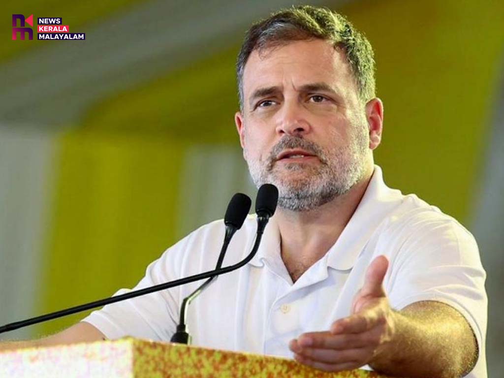 കേരളത്തെ ഇളക്കിമറിച്ച രാഹുൽ ഗാന്ധി തമിഴ്നാട്ടിൽ എത്തിയില്ല