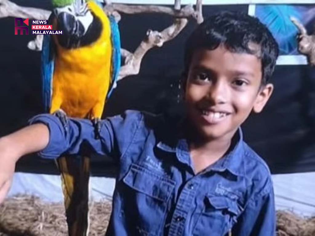 പാമ്പ് കടിയേറ്റ് എട്ടുവയസുകാരന്‍ മരിച്ചു; സഹോദരന്‍ ചികിത്സയില്‍
