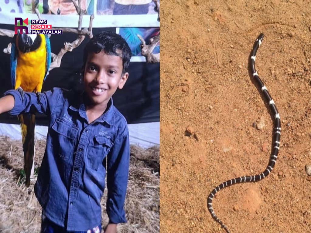 ആൽജോയുടെ സംസ്കാരം ഇന്ന്