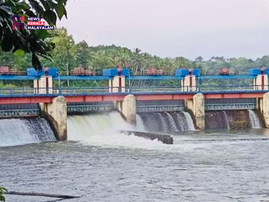 തിരുവനന്തപുരത്ത് കനത്ത മഴ; അരുവിക്കര ഡാമിന്റെ ഷട്ടറുകൾ ഉയർത്തും