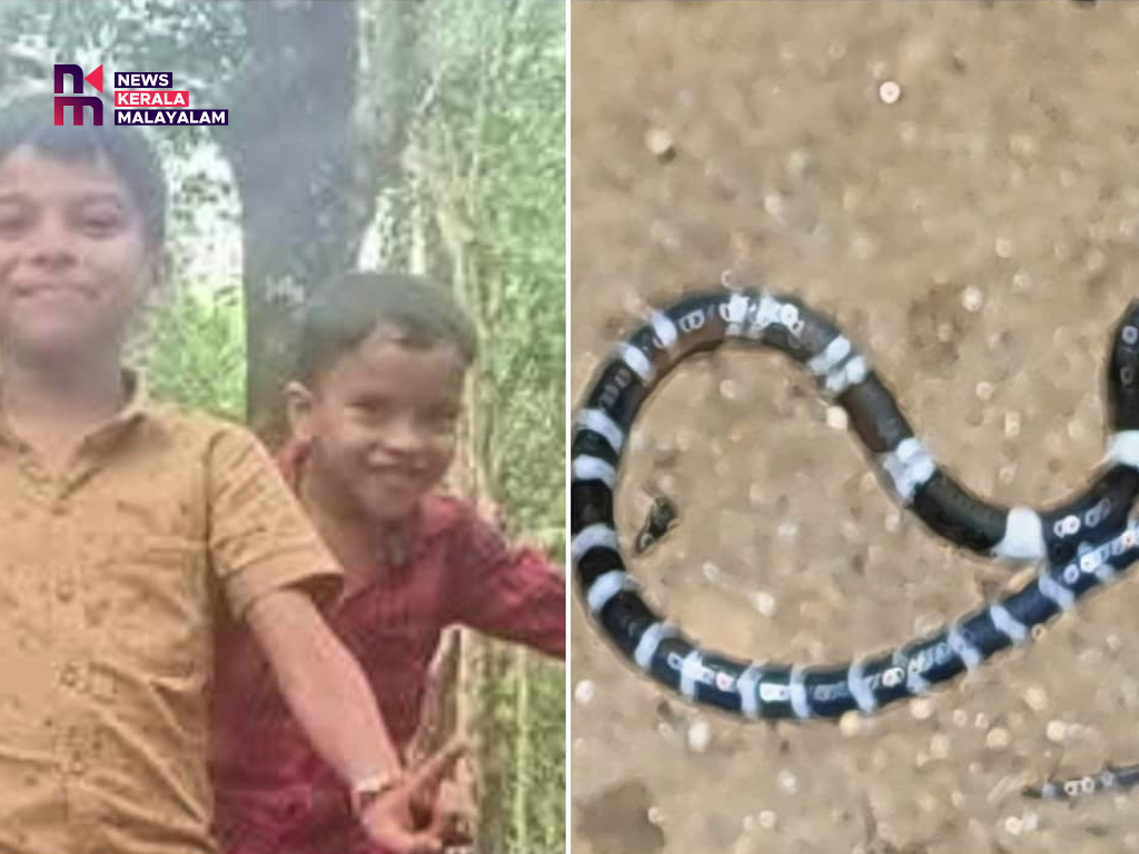 അനോഷിനെ നാളെ ഡിസ്ചാർജ് ചെയ്യും; കുട്ടിയുടെ ആരോ​ഗ്യനില തൃപ്തികരം