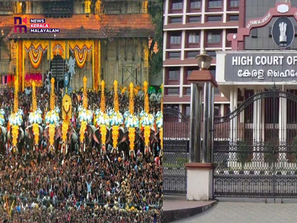 തൃശ്ശൂർ പൂരം ആന എഴുന്നെള്ളത്ത്; കൂടുതൽ നിയന്ത്രണങ്ങൾ കൊണ്ടുവരാനാകില്ലെന്ന് ഹൈക്കോടതി