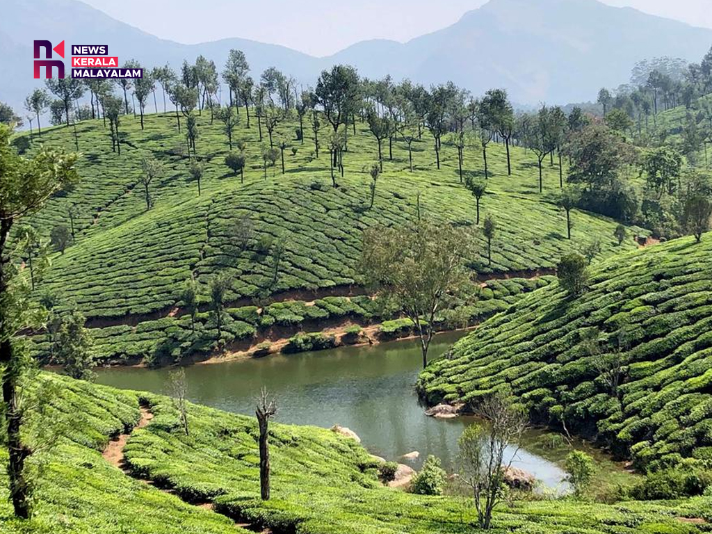 കനത്ത ചൂട്: മൂന്നാറില്‍ യു വി ഇന്‍ഡക്‌സ് എട്ടില്‍ എത്തി, മുന്നറിയിപ്പുമായി കളക്ടര്‍