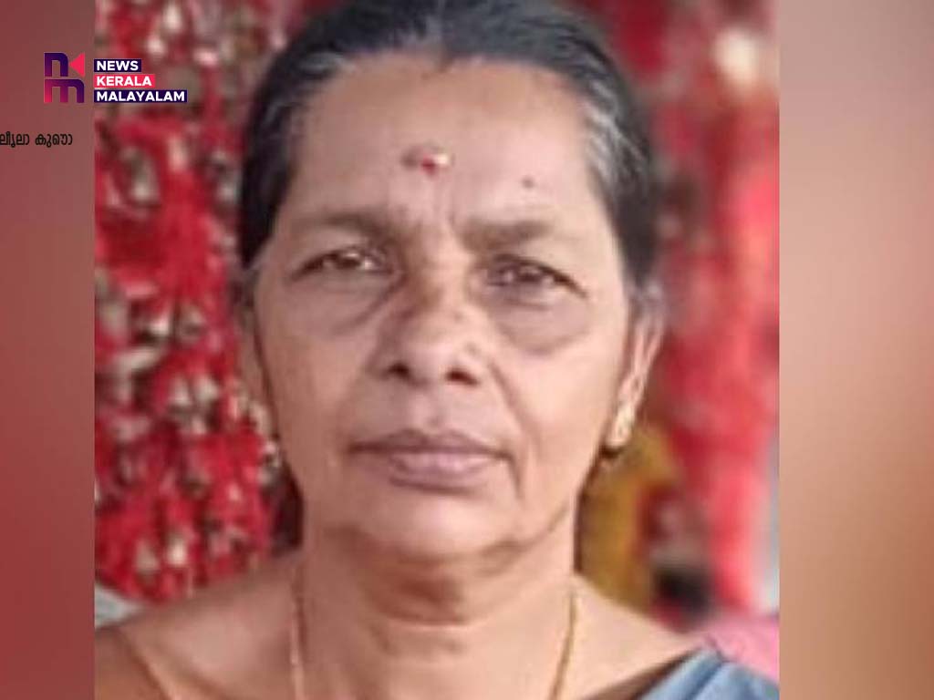 മാങ്ങ പറിക്കുന്നതിനിടെ തോട്ടി വൈദ്യുതി ലൈനില്‍ തട്ടി; വയോധിക മരിച്ചു