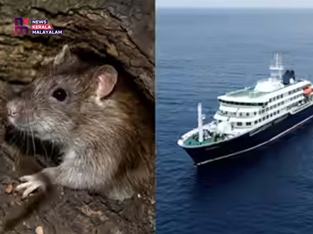 ഹാന്റ വൈറസ് പടരുന്നു: മുന്നറിയിപ്പുമായി ലോകാരോ​ഗ്യ സംഘടന