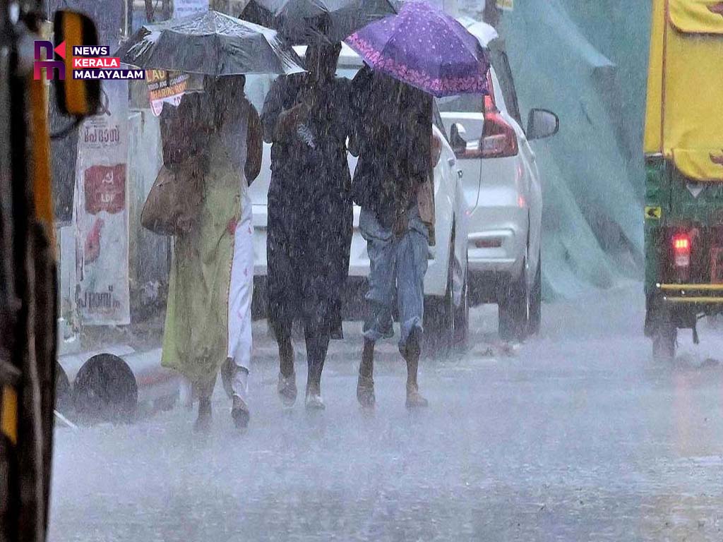 ശക്തമായ മഴ; മൂന്ന് ജില്ലകളിൽ ഓറഞ്ച് അലർട്ട് പ്രഖ്യാപിച്ചു