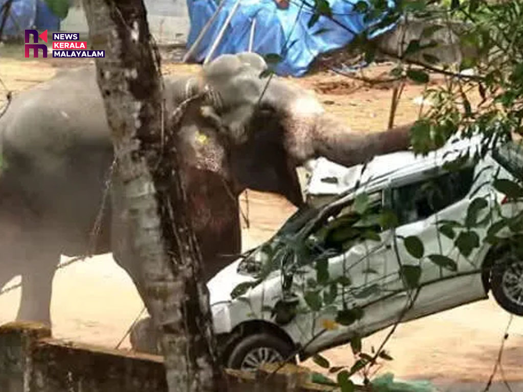 ആന ഇടഞ്ഞ സംഭവം; പരിക്കേറ്റ പാപ്പാൻ പ്രദീപിന്റെ ആരോഗ്യനില തൃപ്തികരം