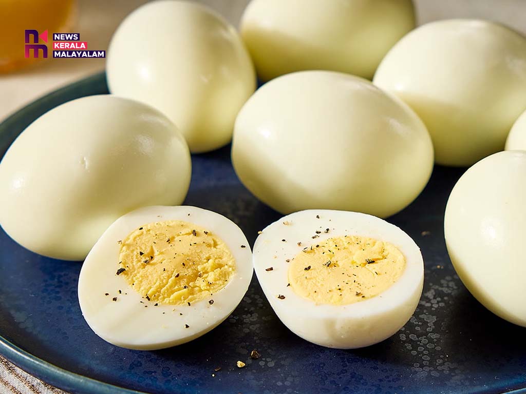 ആഴ്ചയിൽ 5 തവണയെങ്കിലും മുട്ട കഴിച്ചാൽ അൽസ്ഹൈമേഴ്സ് സാധ്യത 27% കുറയുമെന്ന് പഠനം