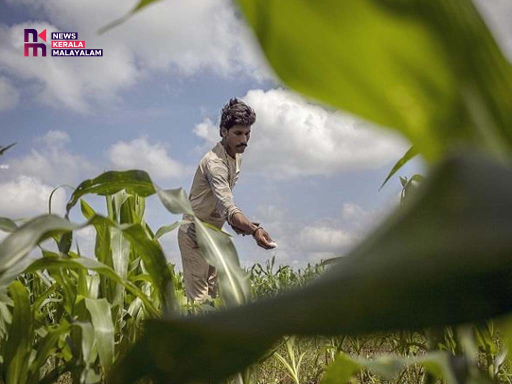 അഗ്രിസ്റ്റാക്ക് കർഷക ഐഡി: രജിസ്റ്റർ ചെയ്തില്ലെങ്കിൽ ആനുകൂല്യങ്ങൾ മുടങ്ങിയേക്കാം