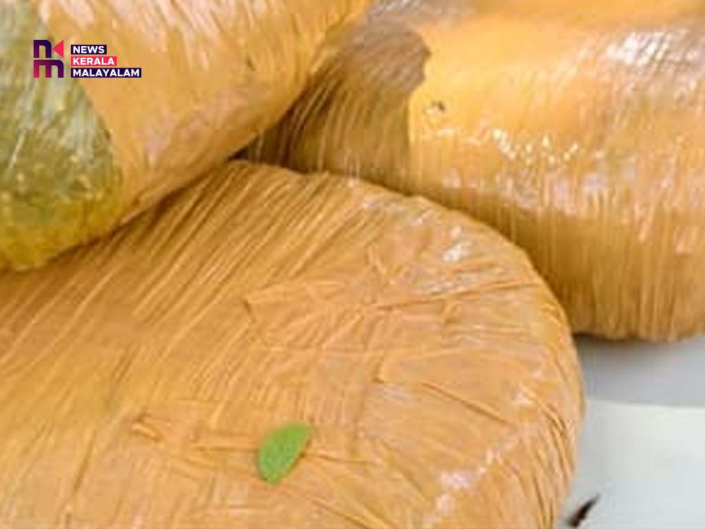 ഷോൾഡർ ബാഗിൽ തുണിയിൽ പൊതിഞ്ഞ് കഞ്ചാവ്