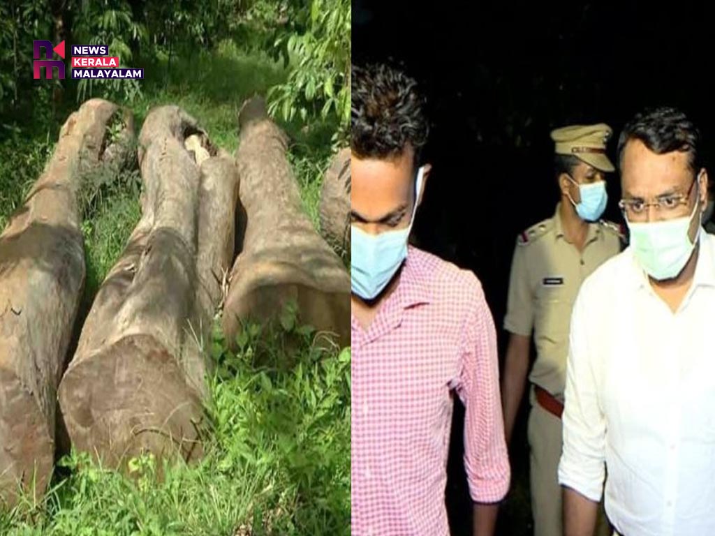 മുട്ടില്‍ മരംമുറി കേസ്: 52 കേസുകളിലും കുറ്റപത്രം നല്‍കിയില്ല
