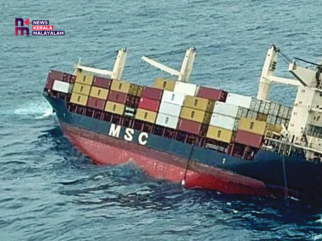 എൽസ 3 കപ്പൽ അപകടം; അപകടം വരുത്തി വെച്ചതെന്ന് റിപ്പോർട്ട്