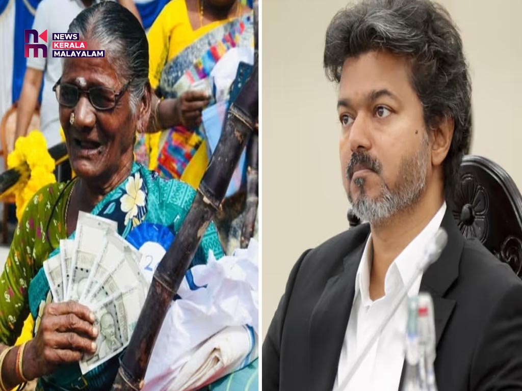 തമിഴ്നാട്ടിലെ അടുത്ത പൊങ്കൽ മഹോത്സവത്തിന് മുന്നോടിയായി ഒരുക്കങ്ങൾ ആരംഭിച്ച് ടിവികെ സർക്കാർ