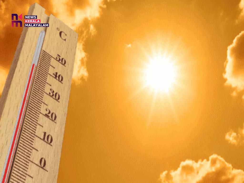 യുഎഇയിൽ വേനൽക്കാലം; ചർമത്തിൽ ഈ ലക്ഷണങ്ങൾ കണ്ടാൽ അവഗണിക്കരുത്