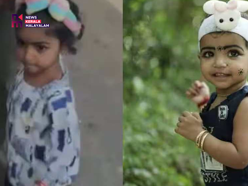 വാഹനാപകടത്തില്‍ മരിച്ച മൂന്ന് വയസുകാരിയുടെ മാതാവ് ജീവനൊടുക്കാന്‍ ശ്രമിച്ചു