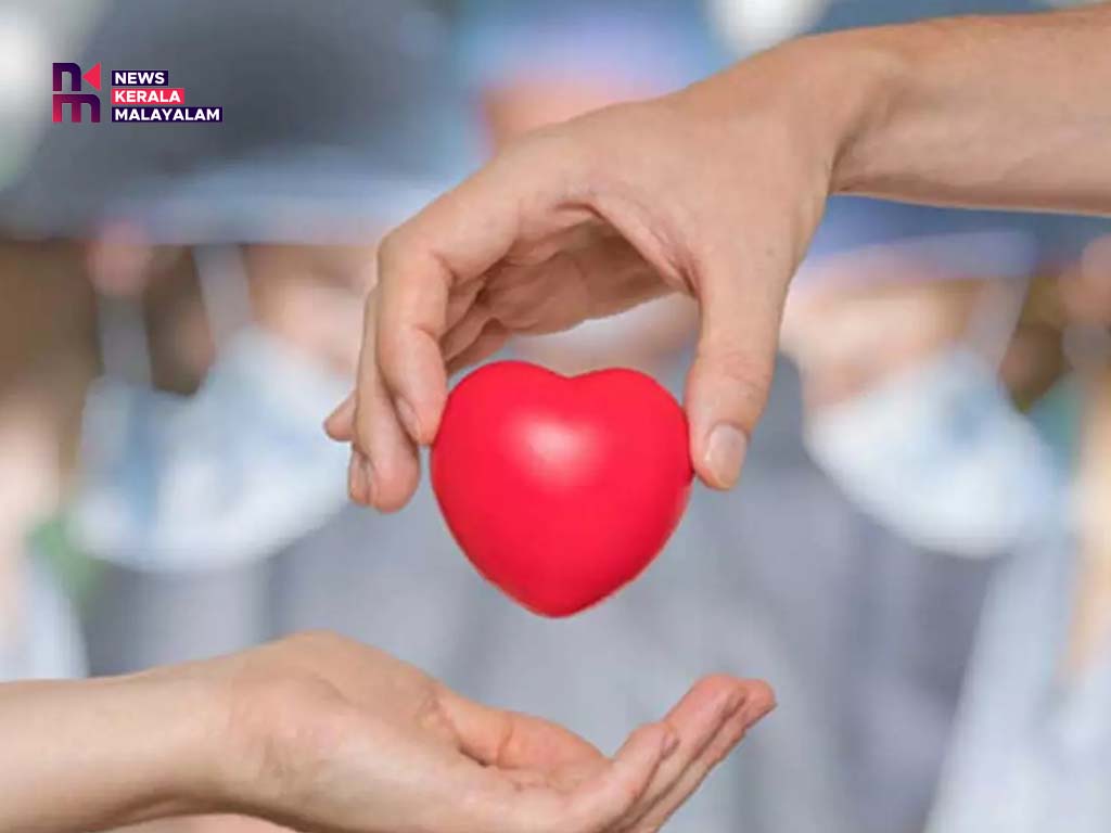 ഒരു ദാതാവ്, നാലുപേർ‌ക്ക് പുതുജീവൻ